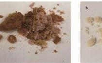 利用空化技术将柑橘废料转化为生物聚合物