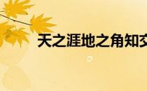 天之涯地之角知交半零落是什么歌