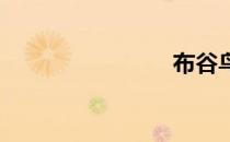 布谷鸟歌词