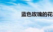 蓝色玫瑰的花代表什么意思