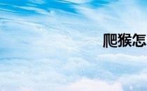 爬猴怎么养殖