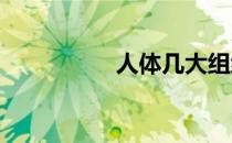 人体几大组织几大系统