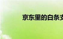 京东里的白条支付是什么意思