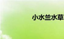 小水兰水草的种植方法