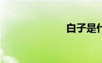 白子是什么东西