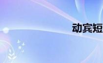 动宾短语举例