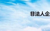非法人企业有哪些