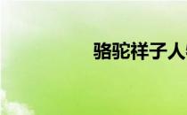 骆驼祥子人物性格特点