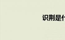 识荆是什么意思