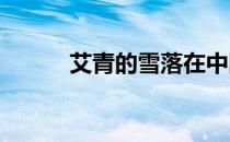 艾青的雪落在中国的土地上赏析