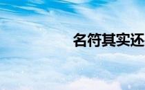 名符其实还是名副其实