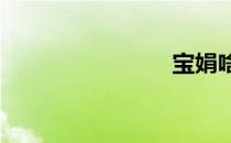 宝娟啥意思
