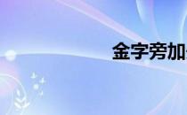 金字旁加先念什么