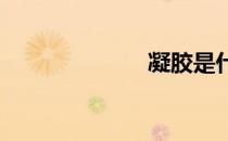 凝胶是什么东西