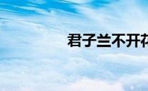 君子兰不开花是什么原因