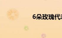 6朵玫瑰代表什么意思