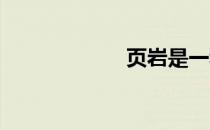 页岩是一种什么岩