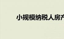 小规模纳税人房产税减半征收政策