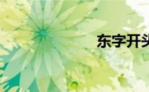 东字开头的成语