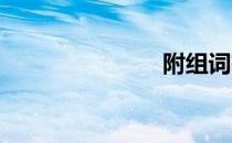 附组词有哪些