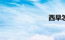 西早怎么读