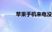 苹果手机来电没有声音怎么回事