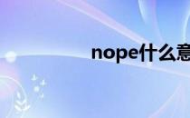 nope什么意思中文翻译