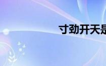 寸劲开天是什么意思