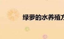 绿萝的水养殖方法和注意事项