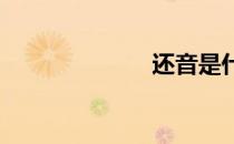 还音是什么意思
