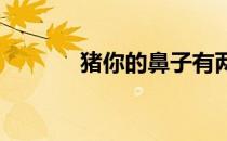 猪你的鼻子有两个孔是什么歌