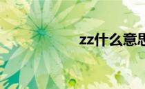 zz什么意思代表什么