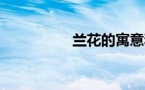 兰花的寓意和象征风水