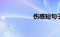 伤感短句子十字以内