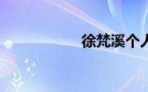 徐梵溪个人资料简介