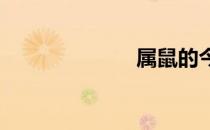 属鼠的今年多大