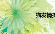 猫发情持续多久