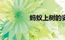 蚂蚁上树的姿势是怎样的