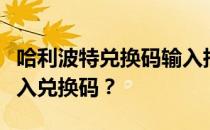 哈利波特兑换码输入指南：如何轻松获取并输入兑换码？