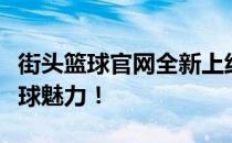 街头篮球官网全新上线，带你领略不一样的篮球魅力！