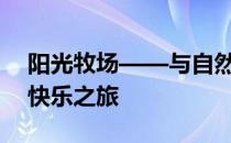 阳光牧场——与自然共舞，感受和谐畜牧的快乐之旅