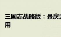 三国志战略版：暴戾无仁的战术解析与实战应用