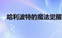 哈利波特的魔法觉醒：你的学院缘分揭晓