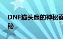 DNF猫头鹰的神秘面纱：神秘的守护使者揭秘