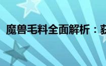 魔兽毛料全面解析：获取、用途及价值评估