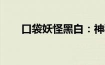 口袋妖怪黑白：神秘世界的探险之旅