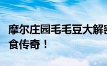 摩尔庄园毛毛豆大解密：美味与健康并重的美食传奇！