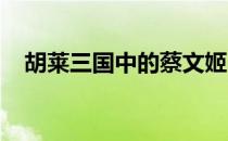 胡莱三国中的蔡文姬：历史与传奇的交融