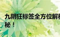 九阴狂标签全方位解析：高效刷标签技巧大揭秘！