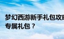 梦幻西游新手礼包攻略：如何获取并领取你的专属礼包？